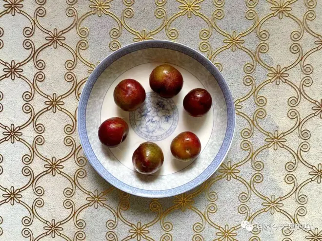 圖片