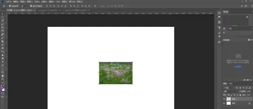 photoshop cc 2018怎樣使用涂抹工具？photoshop cc 2018使用涂抹工具的方法