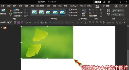 PPT如何插入的圖片放到幻燈片中間位置 PPT中插入的圖片放到幻燈片正中間位置的操作截圖