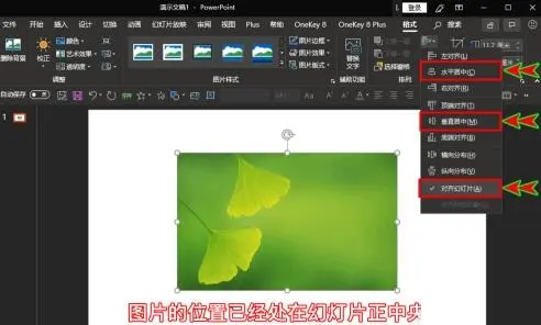 PPT如何插入的圖片放到幻燈片中間位置 PPT中插入的圖片放到幻燈片正中間位置的操作截圖
