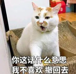 暑假最掉節(jié)操的國產(chǎn)動畫，由最“不污正業(yè)”團隊給你驚喜！