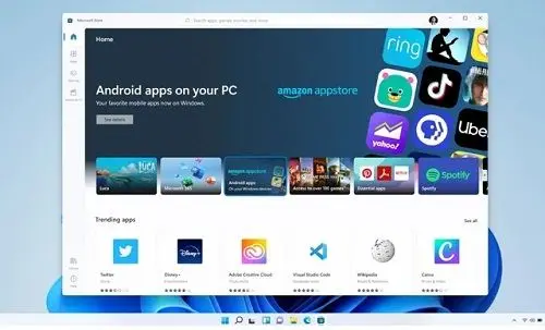 Win11安裝出現(xiàn)無(wú)法安裝程序包怎么辦?Win11無(wú)法安裝程序包解決方法截圖