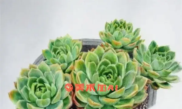 彩铅AI绘画软件哪个好