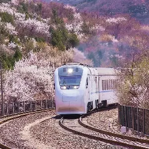 happy的京局津段