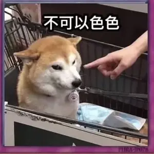 平凡中還有你