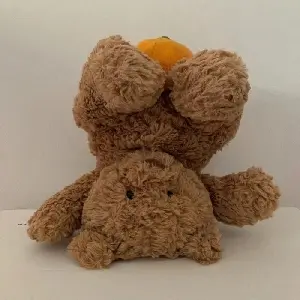 介界可