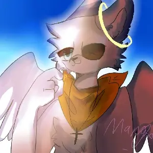 White白狐