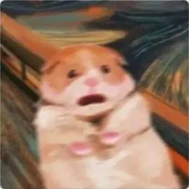 明年今日--__--