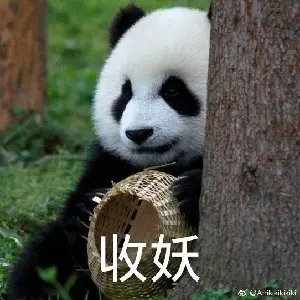 觚不觚_觚哉