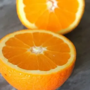 橘子闊洛