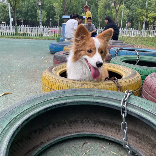 獨善其身戒驕戒躁