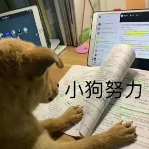 hebut郭大壯