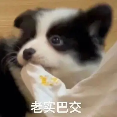 lllllllllyw