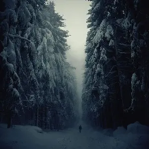 观天色醉霞光