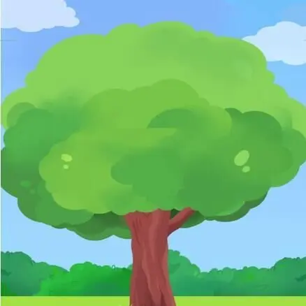 树林花园
