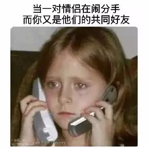 6_鴿