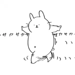 pinlr