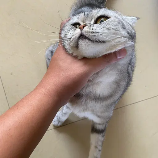 阳台外的王叔叔