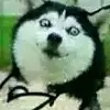過了課