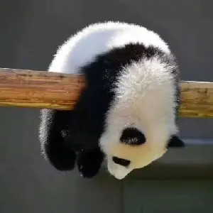 就要糯米糕