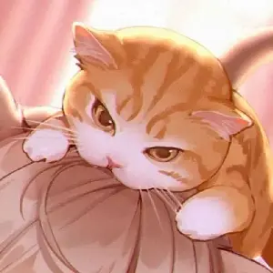 修爾爾爾
